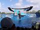 A handler balancing on killer whale Shamu leaping into the air during the Believe show at Seaworld
